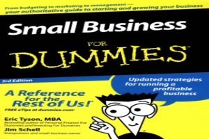 Small Business For Dummies